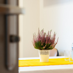 Dom Opieki Leleka w Szczepkowie Borowym leleka.pl